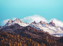 曼联帝星降价也白给！巴萨放话：非利物浦王牌不娶