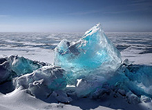 曼联帝星降价也白给！巴萨放话：非利物浦王牌不娶